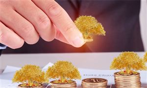 2024年光学相机行业的产业链供需布局及重点企业(图2)