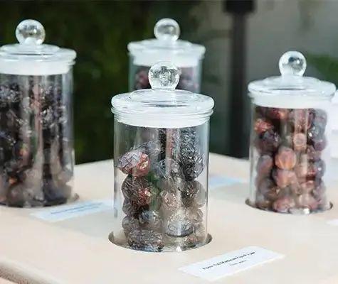 盖茨展望2024：更多AI多国选举将成健康与气候的转折点(图11)