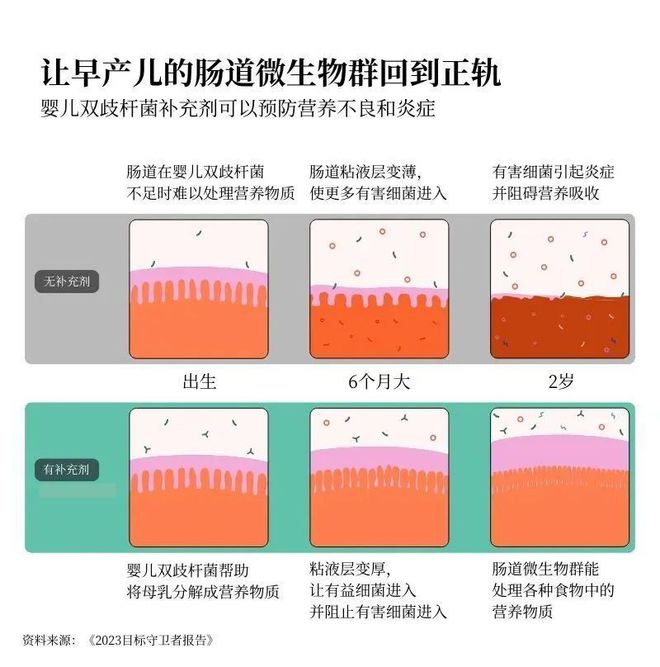 盖茨展望2024：更多AI多国选举将成健康与气候的转折点(图10)