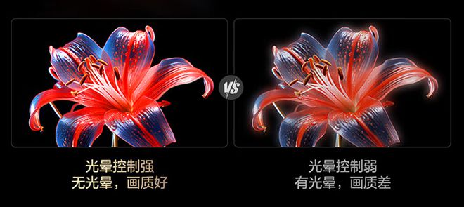 2024年Mini LED电视推荐TCL超旗舰Q10K Pro视听体验太炸裂(图4)