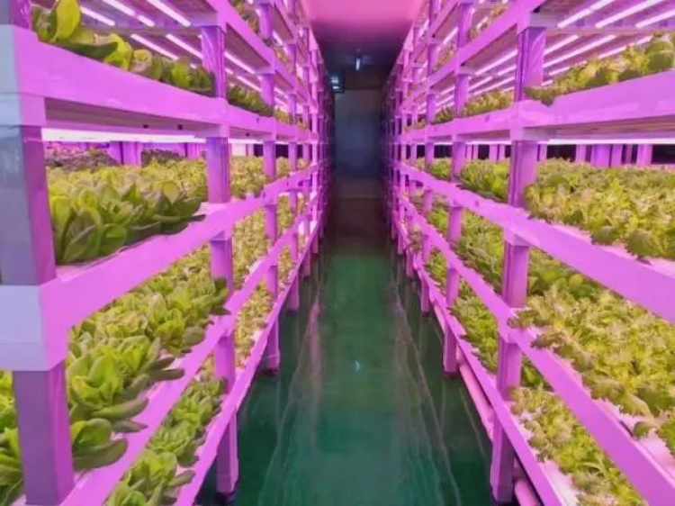 探寻AI时代智慧农业新未来!2024年生物光学与智慧农业国际论坛在广州召开-广东省农村厅(图2) 探寻AI时代智慧农业新未来!2024年生物光学与智慧农业国际论坛在广州召开-广东省农村厅(图2)